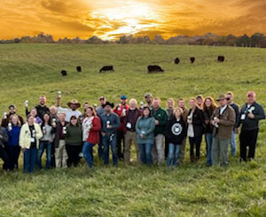 Red Devon USA cattle